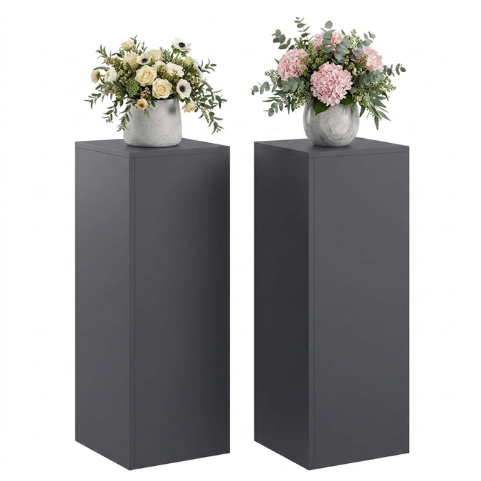 Suport pentru plante 2 pcs Antracit 30 x 30 x 80 cm WALTI