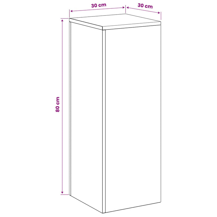 Suport pentru plante 2 pcs Argintiu 30 x 30 x 80 cm Oțel WALTI