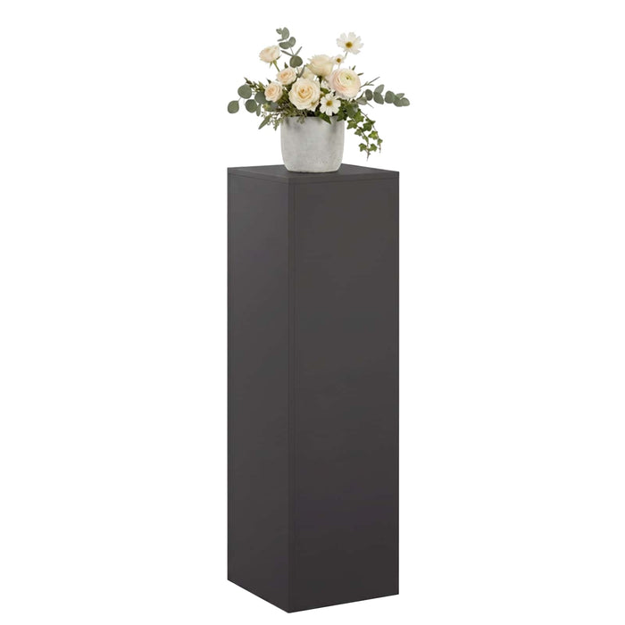 Suport pentru plante Negru 30 x 30 x 100 cm Oțel WALTI