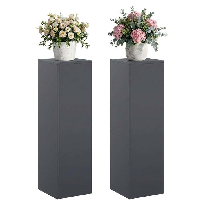 Suport pentru plante 2 pcs Antracit 30 x 30 x 100 cm WALTI