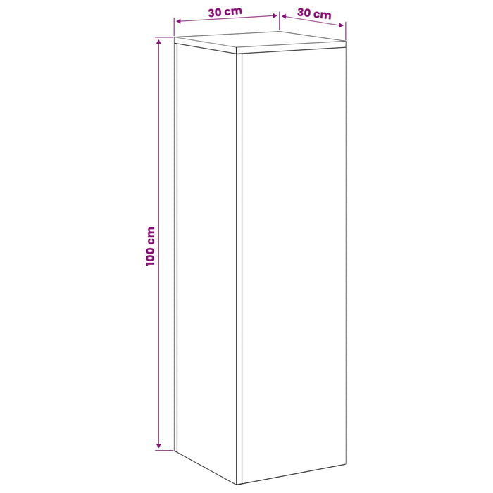 Suport pentru plante 2 pcs Argintiu 30 x 30 x 100 cm Oțel WALTI