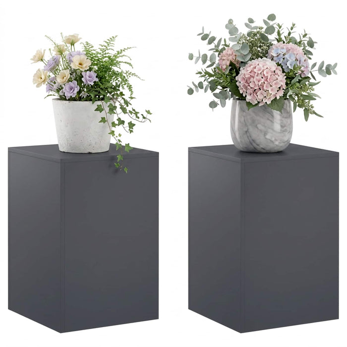 Suport pentru plante 2 pcs Antracit 40 x 40 x 60 cm WALTI