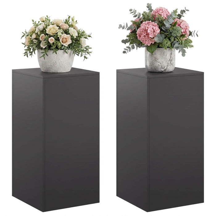 Suport pentru plante 2 pcs Negru 40 x 40 x 80 cm Oțel WALTI