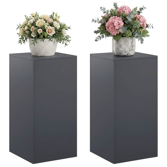 Suport pentru plante 2 pcs Antracit 40 x 40 x 80 cm WALTI