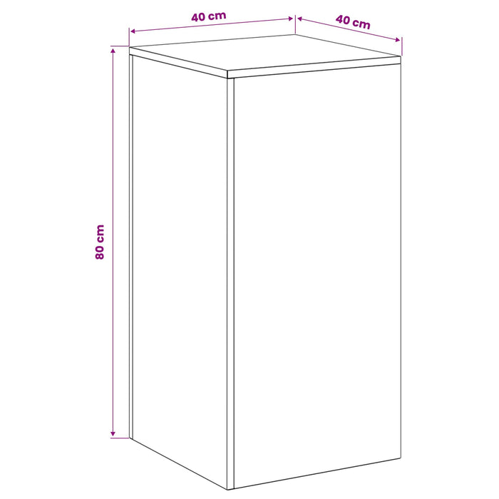 Suport pentru plante 2 pcs Argintiu 40 x 40 x 80 cm WALTI