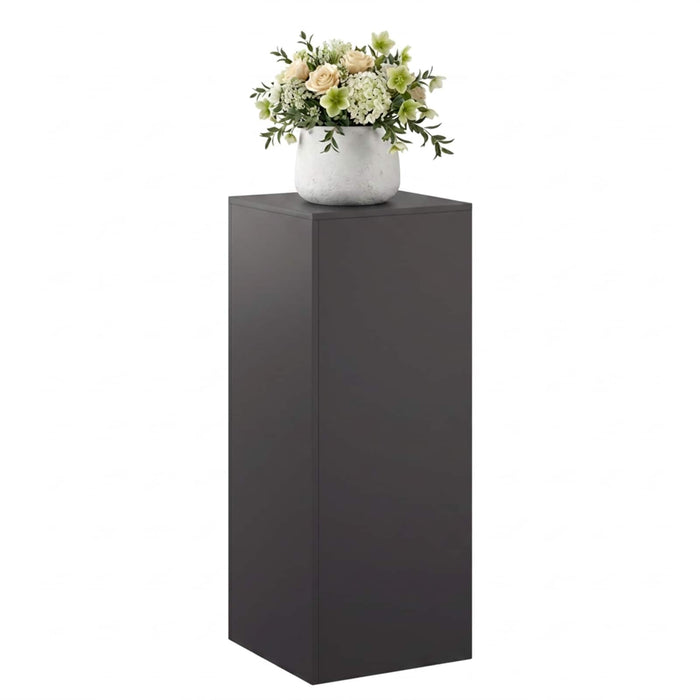 Suport pentru plante Negru 40 x 40 x 100 cm Oțel WALTI