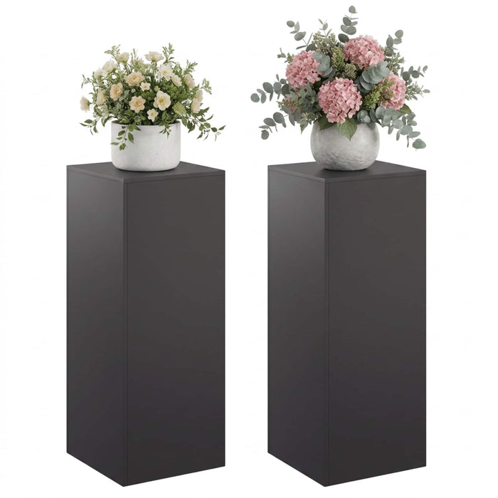 Suport pentru plante 2 pcs Negru 40 x 40 x 100 cm Oțel WALTI
