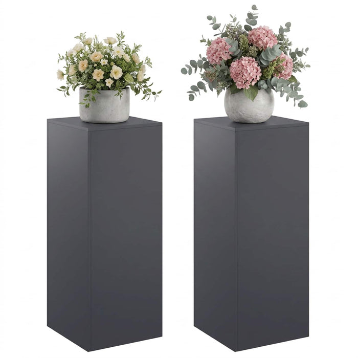 Suport pentru plante 2 pcs Antracit 40 x 40 x 100 cm WALTI