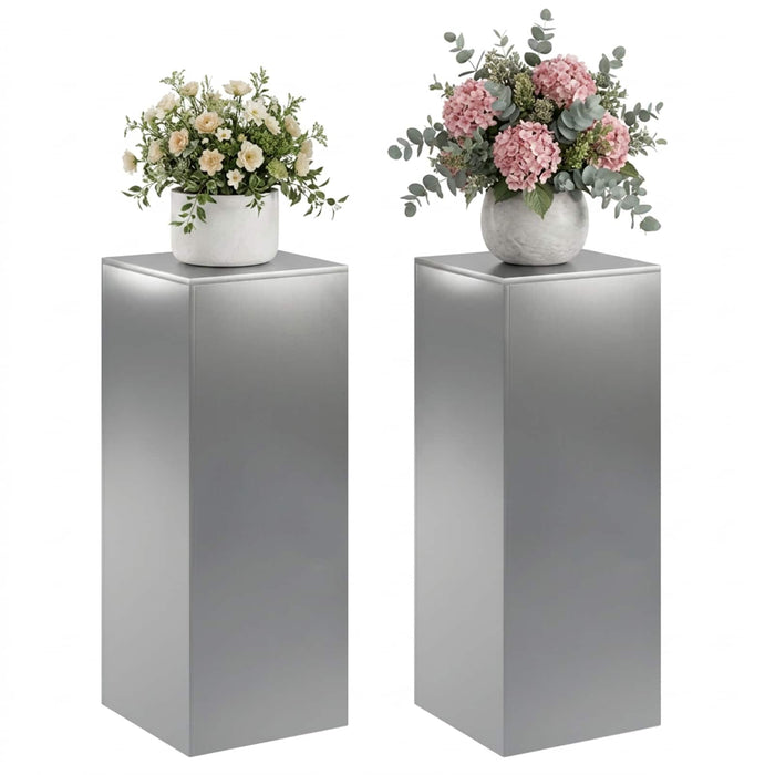 Suport pentru plante 2 pcs Argintiu 40 x 40 x 100 cm WALTI