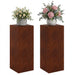 Suport pentru plante 2 buc. Ruginit 40 x 40 x 100 cm - WALTI WALTI