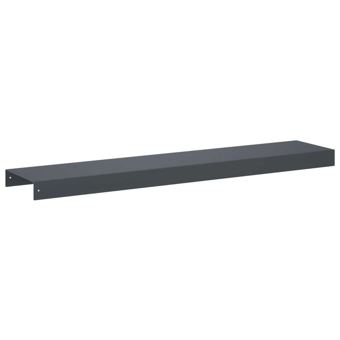 Profil de acoperire pentru grădină 10 buc. 100 x 20 x 5 cm Oțel WALTI