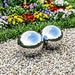  WALTI