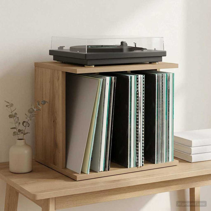 Depozitare Vinil Stejar Artizanal 42 x 33 x 36 cm WALTI