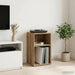 Dulap pentru discuri de vinil Stejar Artizanal 38 x 33 x 61 cm - WALTI WALTI