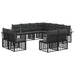 Set de canapele de exterior 11 pcs Negru și Gri închis - WALTI WALTI