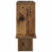 Raft de perete Lemn vechi 122 x 18 x 60 cm Lemn prelucrat - WALTI WALTI
