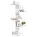 Raft Suspendat Pentru Perete Alb 48,5 x 15 x 101 cm - WALTI WALTI