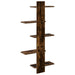 Raft Suspendat Pentru Perete Stejar fumuriu 48,5 x 15 x 101 cm - WALTI WALTI