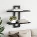 Rafturi suspendate Stejar Negru 40 x 15 x 40 cm Lemn prelucrat - WALTI WALTI