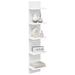 Raft de perete Alb 22 x 15 x 100 cm Lemn prelucrat - WALTI WALTI