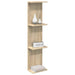 Raft de perete Stejar Sonoma 22 x 15 x 100 cm Lemn prelucrat - WALTI WALTI