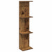 Raft de perete Lemn vechi 22 x 15 x 100 cm Lemn prelucrat - WALTI WALTI