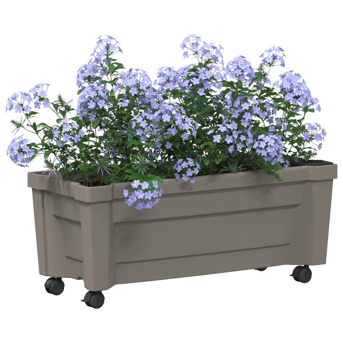 Ghiveci Calypso cu roți Gri 79 x 35 x 33 cm PP - WALTI WALTI