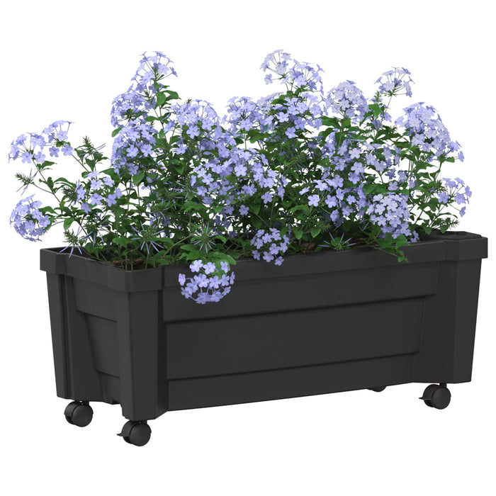 Ghiveci Calypso cu roți Antracit 79 x 35 x 33 cm PP - WALTI WALTI