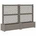 Ghiveci mare cu trellis 2 pcs Gri 200 x 43 x 133,5 cm PP - WALTI WALTI