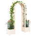 Arc de trandafiri cu ghiveci Alb 168,5 x 43 x 207 cm PP - WALTI WALTI