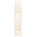 Arc de trandafiri cu ghiveci Alb 168,5 x 43 x 207 cm PP - WALTI WALTI