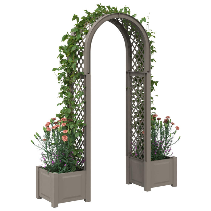 Arc de trandafiri cu ghiveci Gri 168,5 x 43 x 207 cm PP - WALTI WALTI