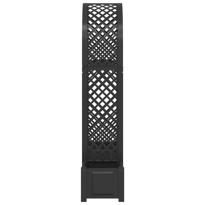 Arc de trandafiri cu ghiveci Antracit 168,5 x 43 x 207 cm PP - WALTI WALTI