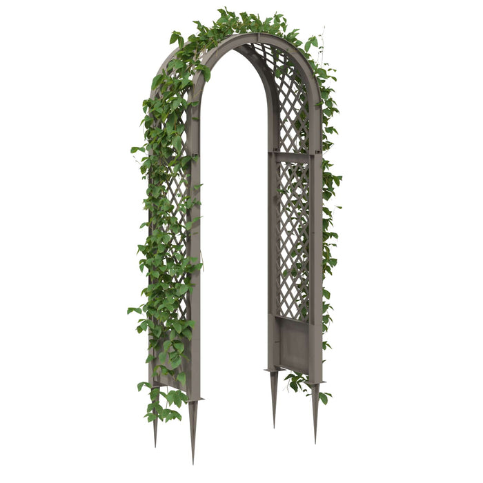 Arc cu Trandafiri și Spice Gri 97 x 43 x 218 cm PP - WALTI WALTI