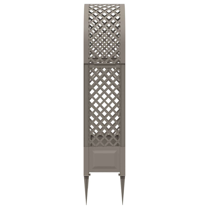 Arc cu Trandafiri și Spice Gri 97 x 43 x 218 cm PP - WALTI WALTI