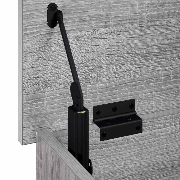 Cutie de depozitare Sonoma gri 80 x 40 x 49,5 cm Lemn prelucrat WALTI
