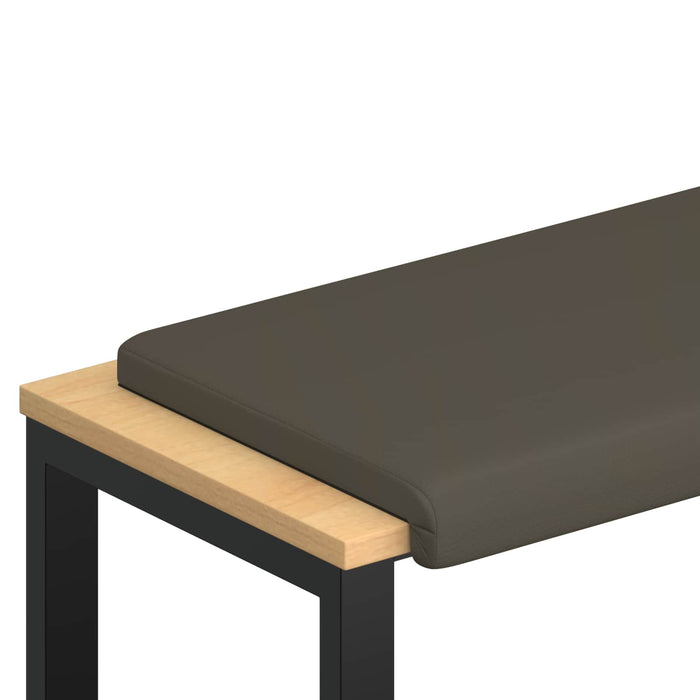 Perna pentru bancă Piele artificială Gri Adâncime 35 cm WALTI