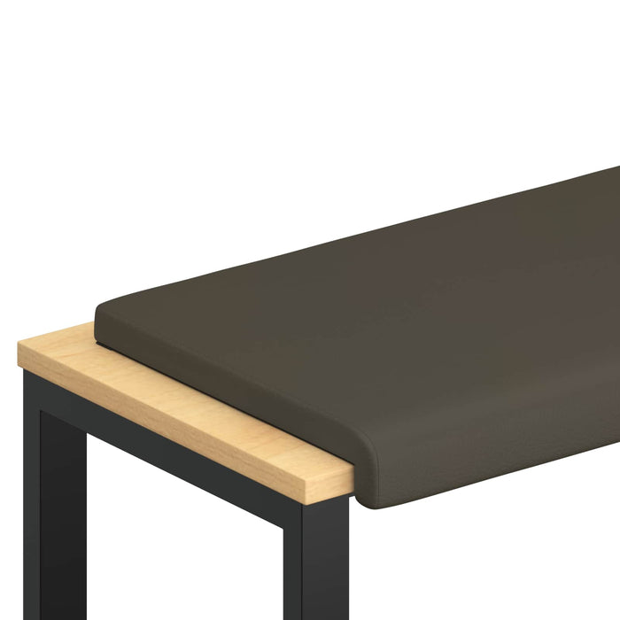 Perna pentru bancă Piele artificială Gri Adâncime 35 cm - WALTI WALTI