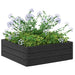 Pat ridicat Negru 75,5 x 75,5 x 25 cm PP - WALTI WALTI