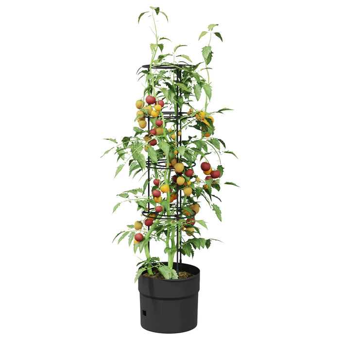 Cultivator pentru roșii Negru Ø 32 x 127 cm PP - WALTI WALTI