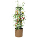 Cultivator pentru roșii Naturo ECO Ø 29 x 106 cm WPC - WALTI WALTI