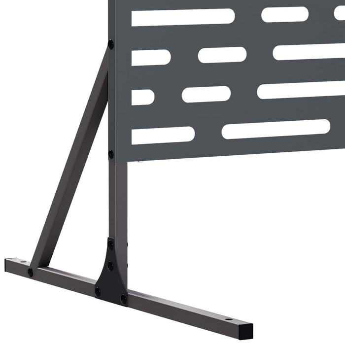 Ecran de intimitate 100 x 50 x 180 cm Oțel Antracit WALTI