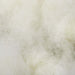  WALTI