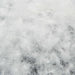  WALTI