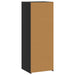 Bufet Stejar Negru 45 x 41 x 124 cm Lemn prelucrat - WALTI WALTI