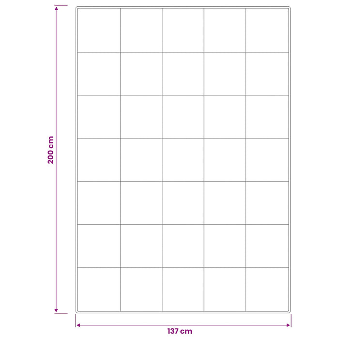 Set de pilote din puf de gâscă 90% FULDA 2 buc. 137 x 200 cm WALTI