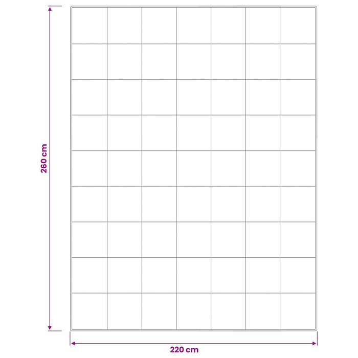 Set de pilote din puf de gâscă 90% FULDA 3 pcs 220 x 260 cm Alb WALTI