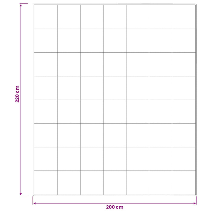 Set de pilote din puf de gâscă 90% FULDA 3 buc. 200 x 220 cm WALTI