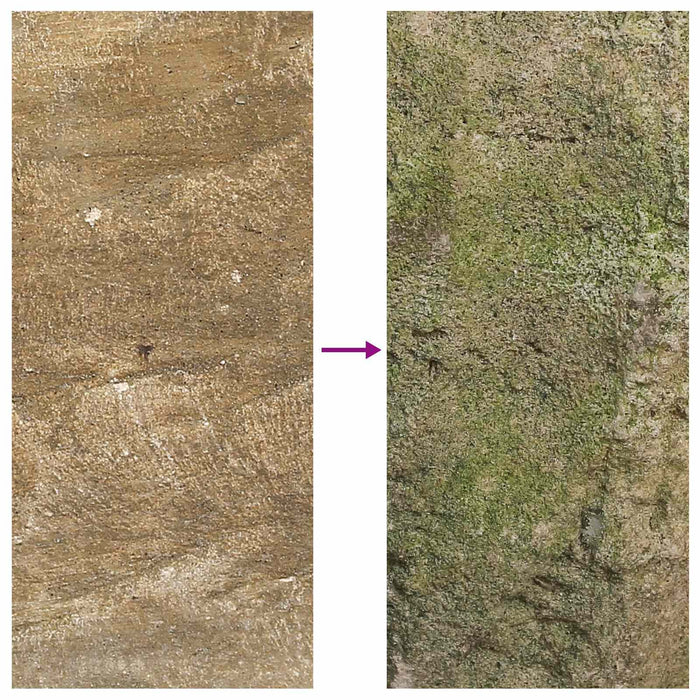 Vază pentru Grădină Piatră cu aspect învechit Ø 35 x 20 cm - WALTI WALTI