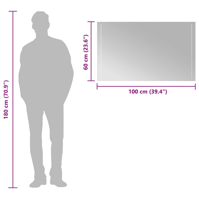 Oglindă de baie cu LED Transparent 100 x 60 cm Dreptunghiular - WALTI WALTI